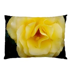 Pale Yellow Rose Pillow Case by okhismakingart