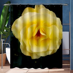 Pale Yellow Rose Shower Curtain 60  X 72  (medium)  by okhismakingart