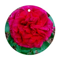 Folded Red Rose Ornament (round) by okhismakingart