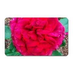 Folded Red Rose Magnet (rectangular) by okhismakingart