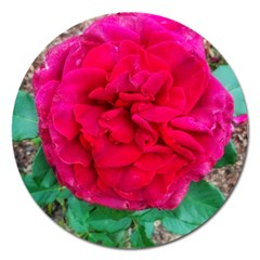 Folded Red Rose Magnet 5  (round) by okhismakingart