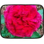 Folded Red Rose Double Sided Fleece Blanket (Mini)  35 x27  Blanket Back