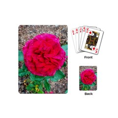 Folded Red Rose Playing Cards (mini) by okhismakingart