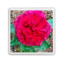 Folded Red Rose Memory Card Reader (square) by okhismakingart