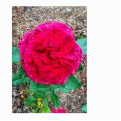 Folded Red Rose Large Garden Flag (two Sides) by okhismakingart