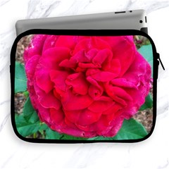 Folded Red Rose Apple Ipad 2/3/4 Zipper Cases by okhismakingart