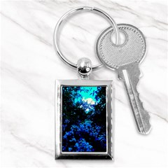 Cascade Of Flowers Key Chains (rectangle)  by okhismakingart