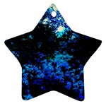 Cascade of Flowers Star Ornament (Two Sides) Front