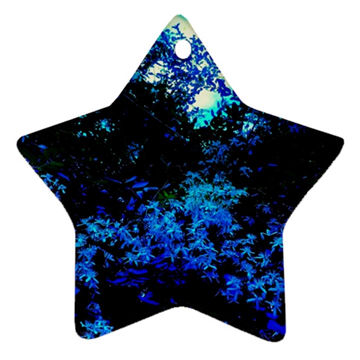 Cascade of Flowers Star Ornament (Two Sides)