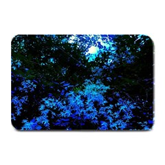 Cascade Of Flowers Plate Mats by okhismakingart