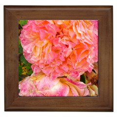 Folded Pink And Orange Rose Framed Tiles by okhismakingart