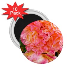 Folded Pink And Orange Rose 2 25  Magnets (10 Pack)  by okhismakingart