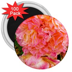 Folded Pink And Orange Rose 3  Magnets (100 Pack) by okhismakingart