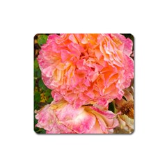 Folded Pink And Orange Rose Square Magnet by okhismakingart