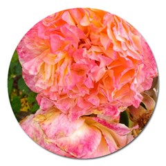 Folded Pink And Orange Rose Magnet 5  (round) by okhismakingart