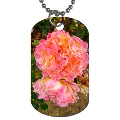 Folded Pink And Orange Rose Dog Tag (two Sides) by okhismakingart