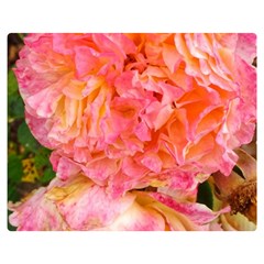 Folded Pink And Orange Rose Double Sided Flano Blanket (medium)  by okhismakingart