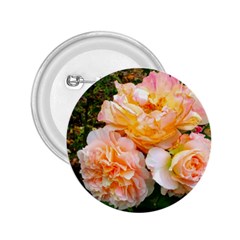 Bunch Of Orange And Pink Roses 2 25  Buttons by okhismakingart