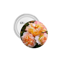 Bunch Of Orange And Pink Roses 1 75  Buttons by okhismakingart