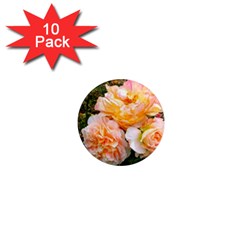 Bunch Of Orange And Pink Roses 1  Mini Magnet (10 Pack) 