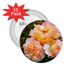 Bunch Of Orange And Pink Roses 2 25  Buttons (10 Pack)  by okhismakingart