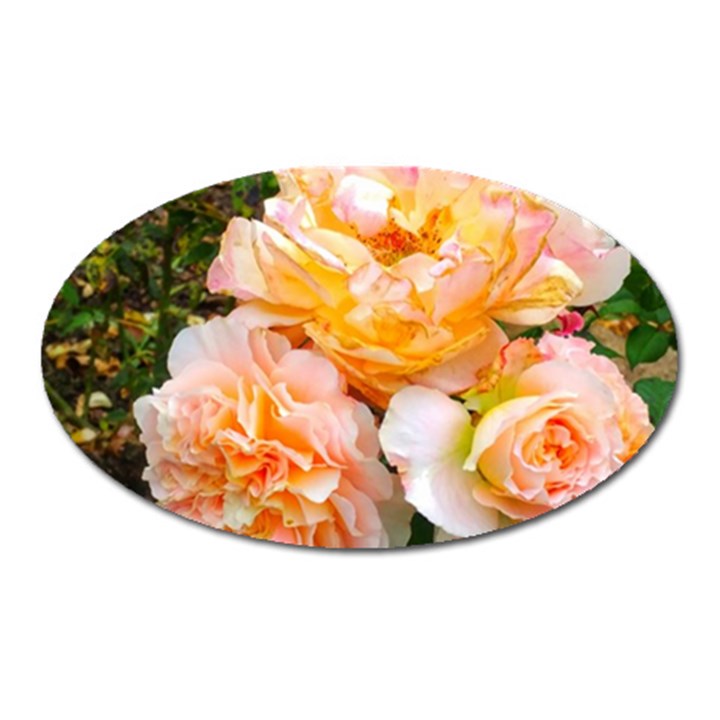 Bunch of Orange and Pink Roses Oval Magnet