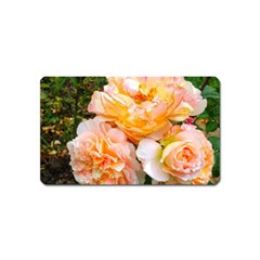 Bunch Of Orange And Pink Roses Magnet (name Card) by okhismakingart