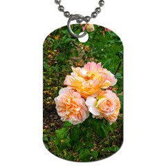 Bunch Of Orange And Pink Roses Dog Tag (one Side) by okhismakingart