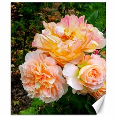 Bunch Of Orange And Pink Roses Canvas 8  X 10  by okhismakingart