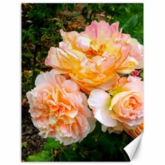 Bunch Of Orange And Pink Roses Canvas 12  X 16  by okhismakingart