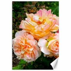 Bunch Of Orange And Pink Roses Canvas 12  X 18  by okhismakingart