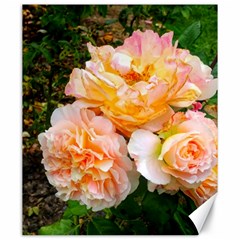 Bunch Of Orange And Pink Roses Canvas 20  X 24  by okhismakingart