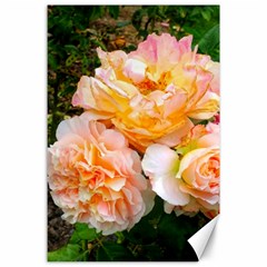 Bunch Of Orange And Pink Roses Canvas 24  X 36  by okhismakingart