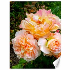 Bunch Of Orange And Pink Roses Canvas 36  X 48  by okhismakingart