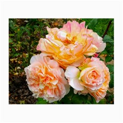 Bunch Of Orange And Pink Roses Small Glasses Cloth (2-side) by okhismakingart