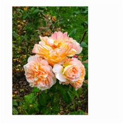 Bunch Of Orange And Pink Roses Large Garden Flag (two Sides) by okhismakingart