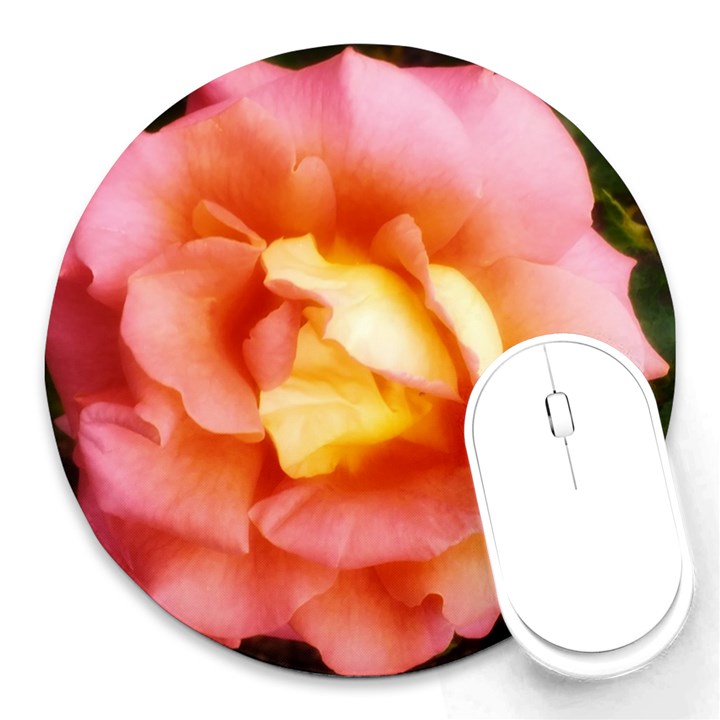 Light Orange and Pink Rose Round Mousepads