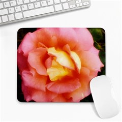 Light Orange And Pink Rose Large Mousepads by okhismakingart