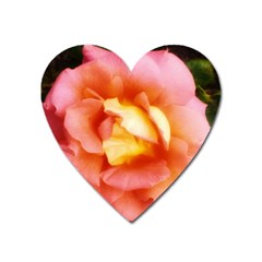 Light Orange And Pink Rose Heart Magnet by okhismakingart