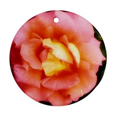 Light Orange And Pink Rose Round Ornament (two Sides) by okhismakingart