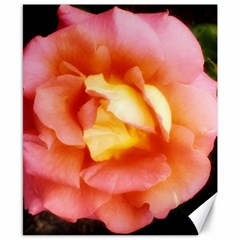 Light Orange And Pink Rose Canvas 8  X 10  by okhismakingart