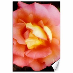 Light Orange And Pink Rose Canvas 20  X 30  by okhismakingart