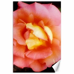 Light Orange And Pink Rose Canvas 24  X 36  by okhismakingart