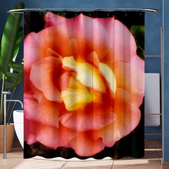 Light Orange And Pink Rose Shower Curtain 60  X 72  (medium)  by okhismakingart