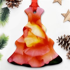 Light Orange And Pink Rose Ornament (christmas Tree)  by okhismakingart