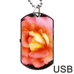 Light Orange And Pink Rose Dog Tag Usb Flash (one Side) by okhismakingart