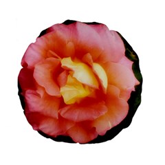 Light Orange And Pink Rose Standard 15  Premium Flano Round Cushions by okhismakingart