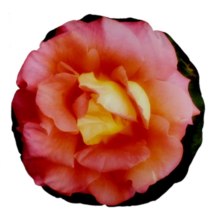 Light Orange and Pink Rose Large 18  Premium Flano Round Cushions