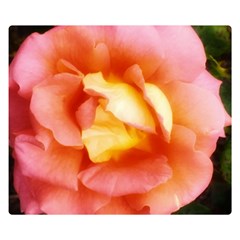 Light Orange And Pink Rose Double Sided Flano Blanket (small)  by okhismakingart