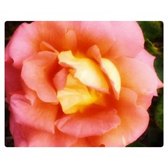 Light Orange And Pink Rose Double Sided Flano Blanket (medium)  by okhismakingart